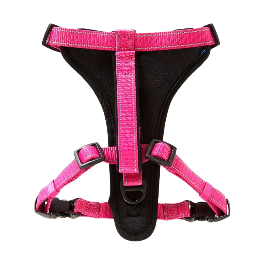 KONG® MAX Neoprene Padded Dog Harness